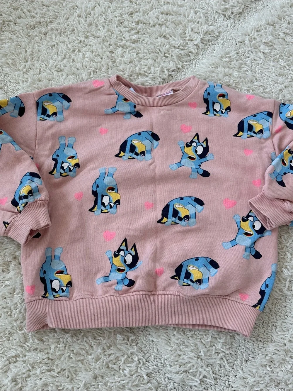 Zara Pink Bluey Set
